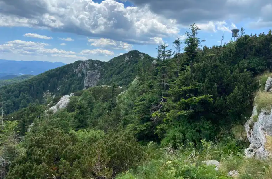 Risnjak National Park, Gorski Kotar, Primorje-Gorski Kotar, Croatia